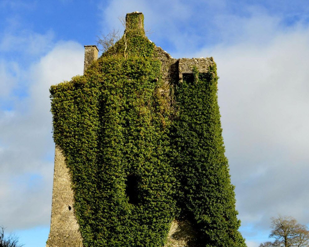 Castle Cooke, Ireland